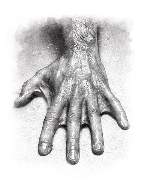 IMG-CARDUME